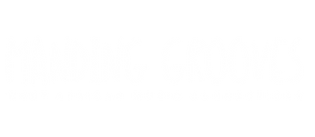 Manding Grooves, Balafon, Stage de musique africain